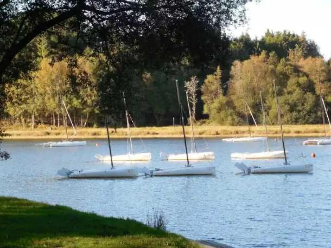 Kemp Camping 3 Etoiles - Eed0Ca Priziac